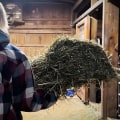 Maximizing Sales at Horse Shows in Northeast Ohio