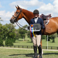 Horse Shows in Northeast Ohio: A Comprehensive Guide for Equestrian Enthusiasts