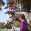 The Ultimate Guide to Registering for Horse Shows in Northeast Ohio: An Expert's Perspective
