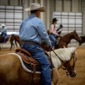 Mastering the Art of Entering Multiple Horses in One Class at Horse Shows in Northeast Ohio