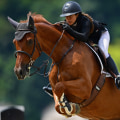 The High Cost of Horse Show Competitions in Northeast Ohio