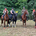 The Ultimate Guide to Stabling Horses at Horse Shows in Northeast Ohio