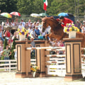 The Insider's Guide to the Cost of Spectating at Horse Shows in Northeast Ohio
