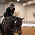 Unleashing the Excitement of Horse Shows in Northeast Ohio