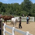Making Horse Shows in Northeast Ohio Accessible for Disabled Riders