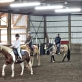 Hosting a Horse Show in Northeast Ohio: Planning Tips for Local Farms and Arenas