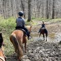 The Insider's Guide to Horse Shows in Northeast Ohio