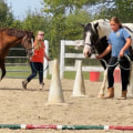 The Benefits of Volunteering at Horse Shows in Northeast Ohio