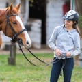 Exploring the Diverse Classes Offered at Horse Shows in Northeast Ohio