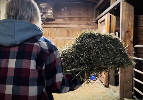 Maximizing Sales at Horse Shows in Northeast Ohio