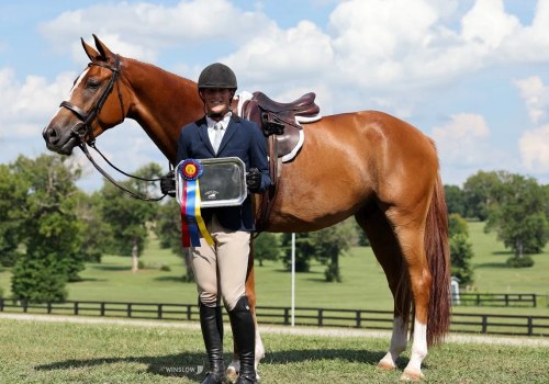 Horse Shows in Northeast Ohio: A Comprehensive Guide for Equestrian Enthusiasts