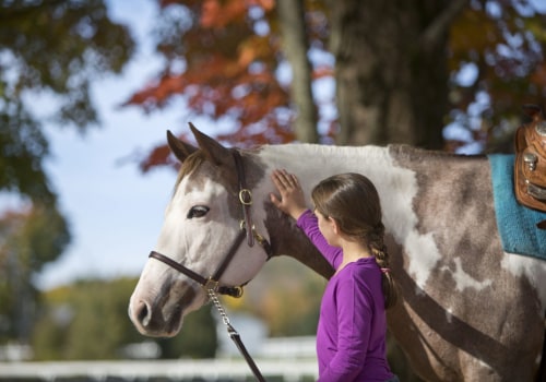 The Ultimate Guide to Registering for Horse Shows in Northeast Ohio: An Expert's Perspective