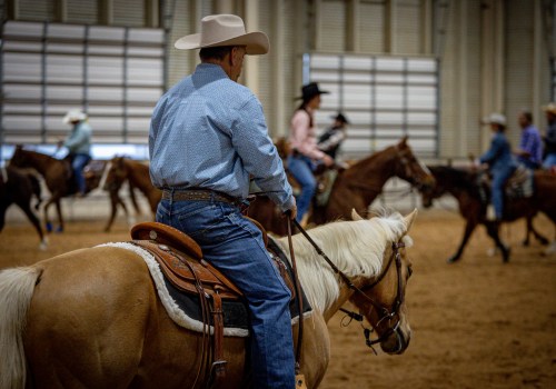 Mastering the Art of Entering Multiple Horses in One Class at Horse Shows in Northeast Ohio