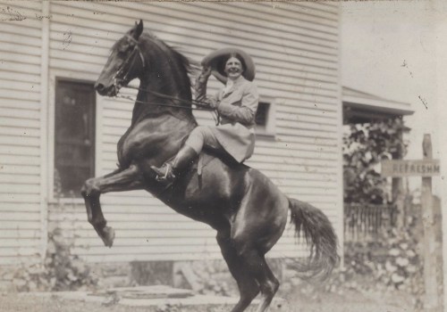 The Exciting World of Horse Shows in Northeast Ohio