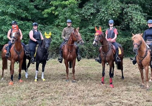 The Ultimate Guide to Stabling Horses at Horse Shows in Northeast Ohio