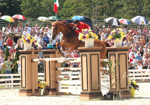 The Insider's Guide to the Cost of Spectating at Horse Shows in Northeast Ohio