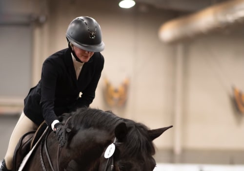 Unleashing the Excitement of Horse Shows in Northeast Ohio