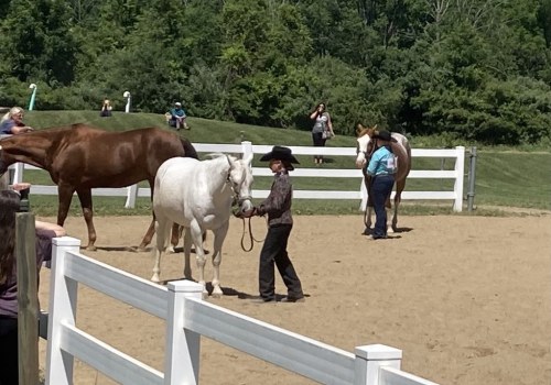 Making Horse Shows in Northeast Ohio Accessible for Disabled Riders