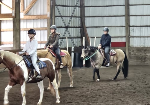 Hosting a Horse Show in Northeast Ohio: Planning Tips for Local Farms and Arenas