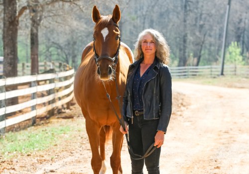 Uncovering the Thrill: Where to Discover Results from Past Horse Shows in Northeast Ohio