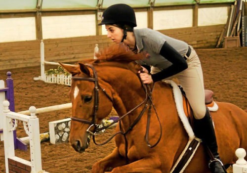 The Age Limit for Competing at Horse Shows in Northeast Ohio: An Expert's Perspective