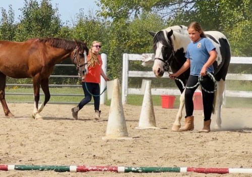 The Benefits of Volunteering at Horse Shows in Northeast Ohio